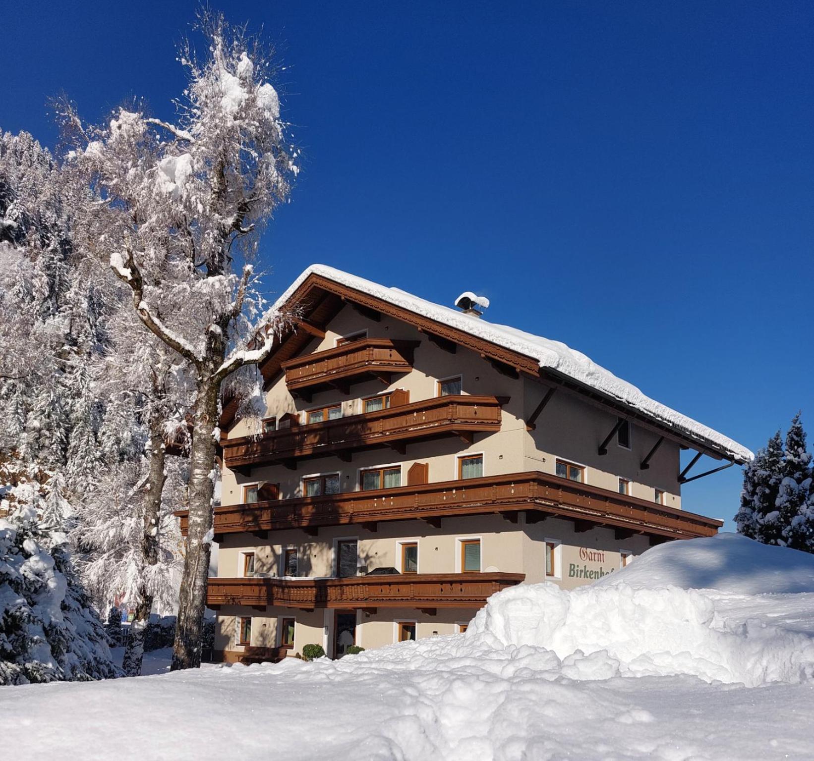 Hotel Garni Birkenhof Mayrhofen Exterior photo